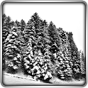 Winter Lands 3D Live Wallpaper — обои «Зимний мир» - icon