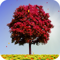 Autumn Trees - icon